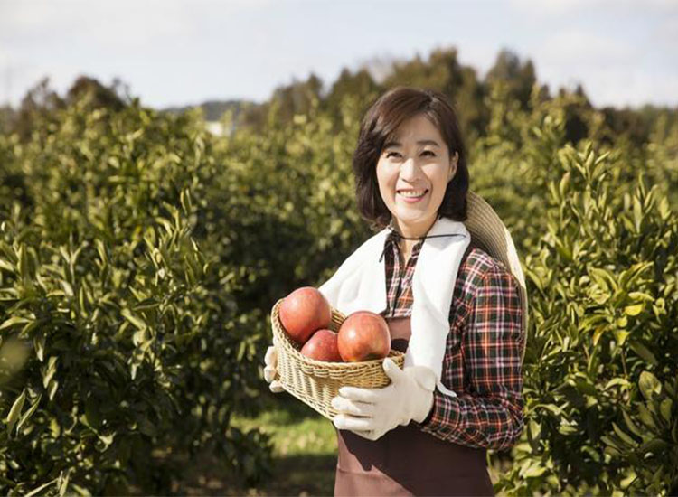 【潤(rùn)康】磨煤機(jī)磨輥與您分享：互聯(lián)網(wǎng)巨頭紛紛賣(mài)菜，農(nóng)民會(huì)不會(huì)被“割韭菜”？